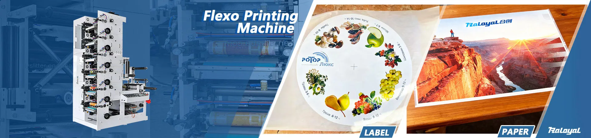 Flexo Printing Machine