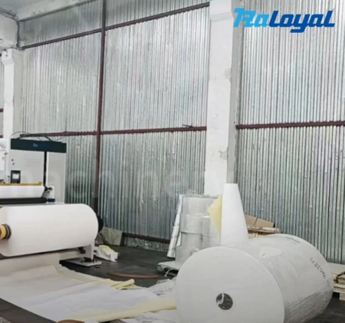 Raloyal Receives Praise from Double V and Announces Cooperation with Russia’s Largest Label Company